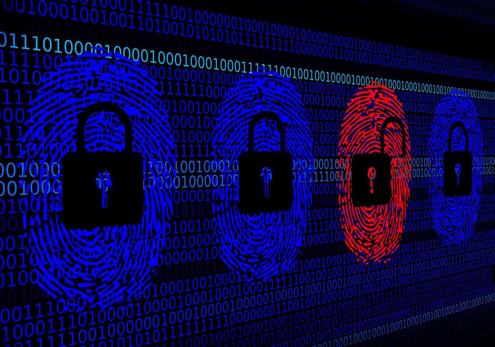 Wie können sich Unternehmen vor Cyber-Angriffen und -Erpressungen schützen?