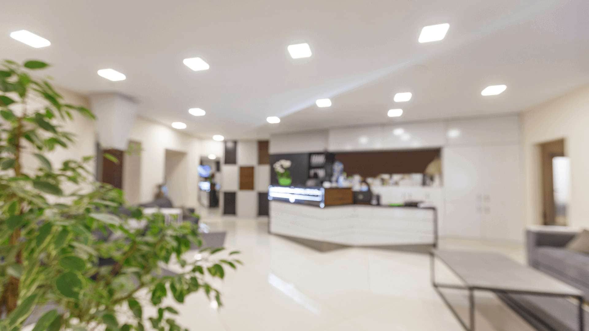 Empfangstresen in einer modernen Arztpraxis mit Pflanzen und Sitzgelegenheiten im Hintergrund.